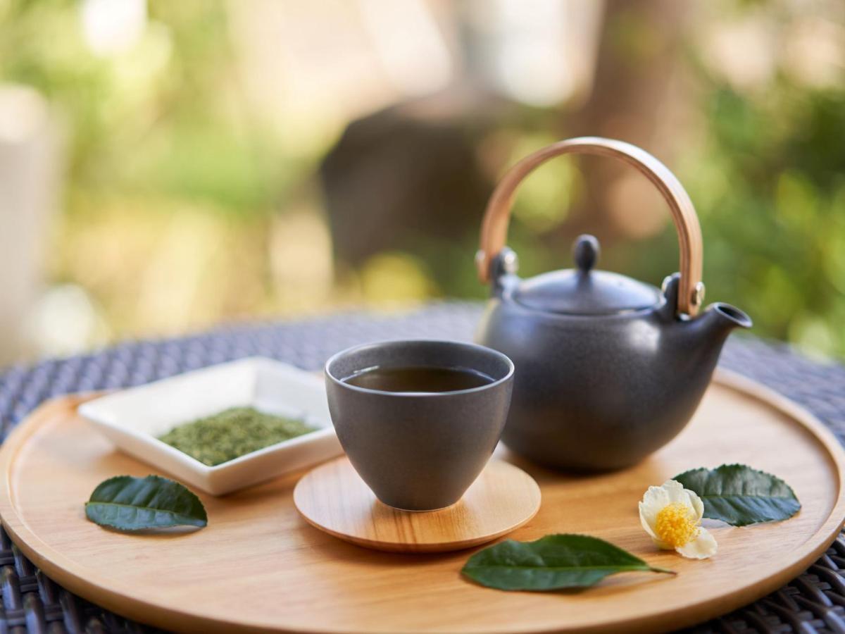 Ooedo Onsen Monogatari Premium Toba Saichoraku